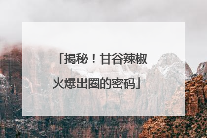 揭秘！甘谷辣椒火爆出圈的密码