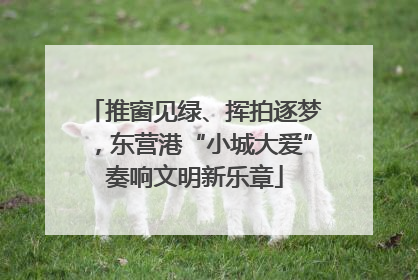 推窗见绿、挥拍逐梦，东营港“小城大爱”奏响文明新乐章