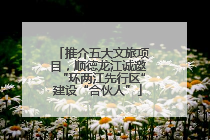推介五大文旅项目，顺德龙江诚邀“环两江先行区”建设“合伙人”