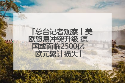 总台记者观察丨美欧贸易冲突升级 德国或面临2500亿欧元累计损失
