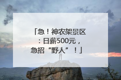 急！神农架景区：日薪500元，急招“野人”！