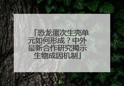 恐龙蛋次生壳单元如何形成？中外最新合作研究揭示生物成因机制