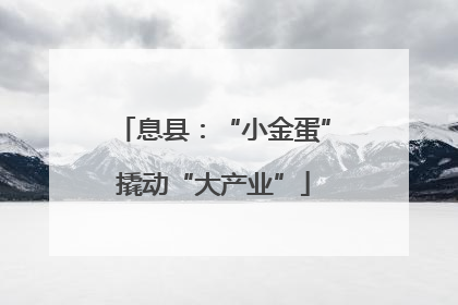 息县：“小金蛋”撬动“大产业”