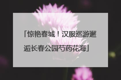 惊艳春城！汉服巡游邂逅长春公园芍药花海
