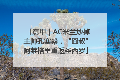 意甲｜AC米兰炒掉主帅孔塞桑，“囧叔”阿莱格里重返圣西罗