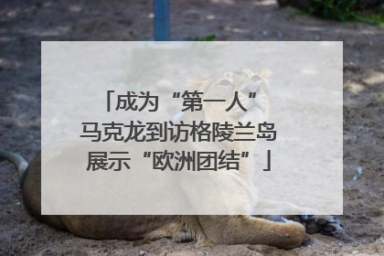 成为“第一人” 马克龙到访格陵兰岛展示“欧洲团结”