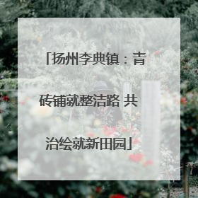 扬州李典镇：青砖铺就整洁路 共治绘就新田园