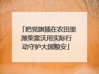 把党旗插在农田里 潍柴雷沃用实际行动守护大国粮安