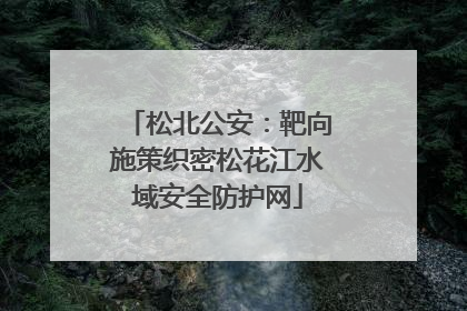 松北公安：靶向施策织密松花江水域安全防护网