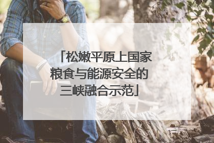 松嫩平原上国家粮食与能源安全的三峡融合示范
