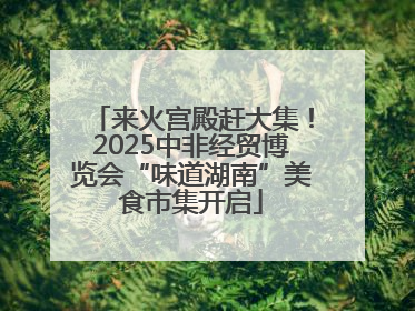 来火宫殿赶大集！2025中非经贸博览会“味道湖南”美食市集开启