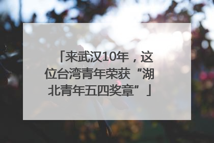 来武汉10年，这位台湾青年荣获“湖北青年五四奖章”