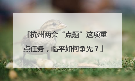 杭州两会“点题”这项重点任务，临平如何争先？