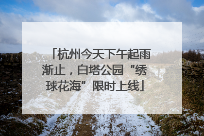 杭州今天下午起雨渐止，白塔公园“绣球花海”限时上线