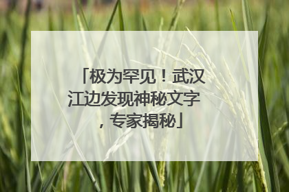 极为罕见！武汉江边发现神秘文字，专家揭秘
