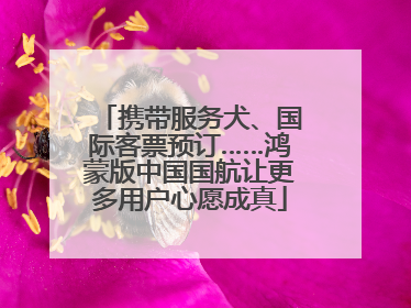 携带服务犬、国际客票预订……鸿蒙版中国国航让更多用户心愿成真