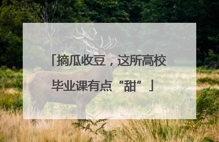 摘瓜收豆，这所高校毕业课有点“甜”