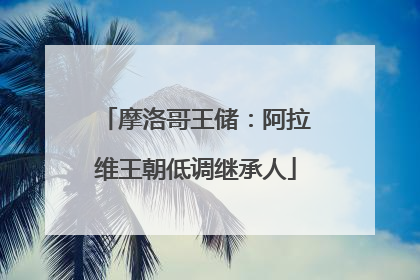 摩洛哥王储：阿拉维王朝低调继承人