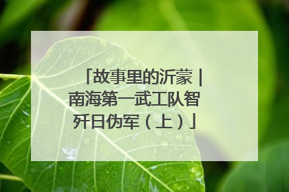 故事里的沂蒙｜南海第一武工队智歼日伪军（上）