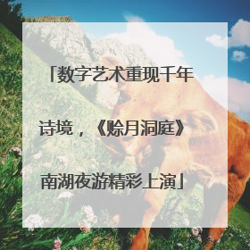 数字艺术重现千年诗境，《赊月洞庭》南湖夜游精彩上演