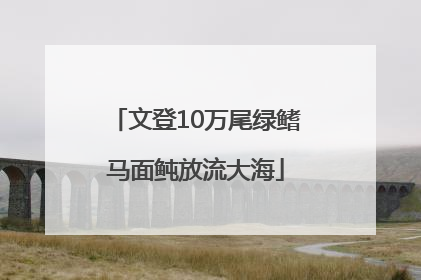 文登10万尾绿鳍马面鲀放流大海