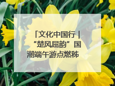 文化中国行｜“楚风屈韵”国潮端午游点燃秭归夜经济