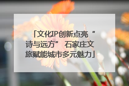 文化IP创新点亮“诗与远方” 石家庄文旅赋能城市多元魅力