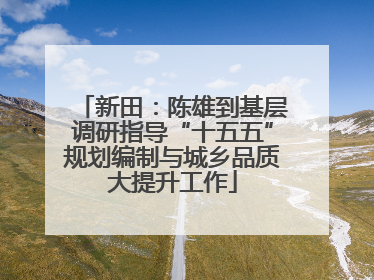 新田：陈雄到基层调研指导“十五五”规划编制与城乡品质大提升工作