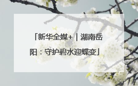 新华全媒+｜湖南岳阳：守护碧水迎蝶变