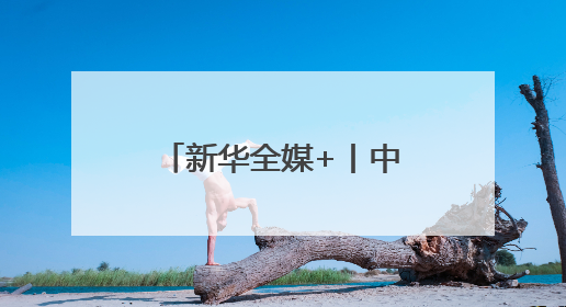 新华全媒+丨中东欧博览会上的“数智”科技秀