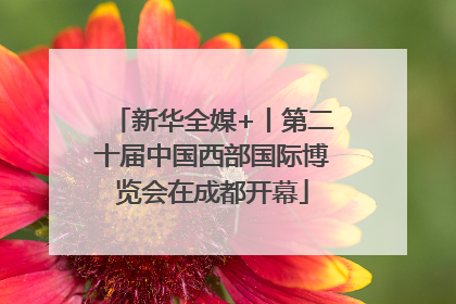 新华全媒+丨第二十届中国西部国际博览会在成都开幕