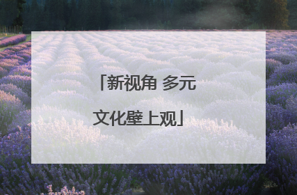 新视角 多元文化壁上观