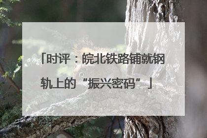 时评：皖北铁路铺就钢轨上的“振兴密码”