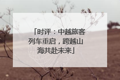 时评：中越旅客列车重启，跨越山海共赴未来