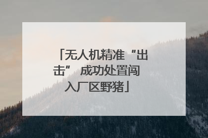 无人机精准“出击” 成功处置闯入厂区野猪