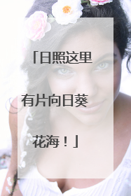 日照这里有片向日葵花海！
