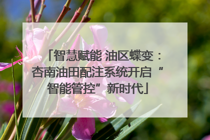 智慧赋能 油区蝶变：杏南油田配注系统开启“智能管控”新时代