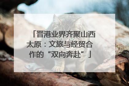 晋港业界齐聚山西太原：文旅与经贸合作的“双向奔赴”