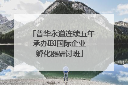普华永道连续五年承办IBI国际企业孵化器研讨班