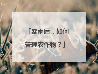 暴雨后，如何管理农作物？