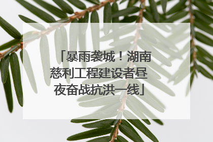 暴雨袭城！湖南慈利工程建设者昼夜奋战抗洪一线