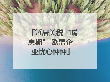 暂居关税“喘息期” 欧盟企业忧心忡忡