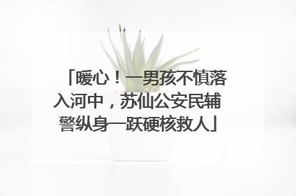 暖心！一男孩不慎落入河中，苏仙公安民辅警纵身一跃硬核救人