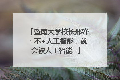 暨南大学校长邢锋：不+人工智能，就会被人工智能+