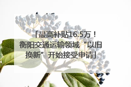 最高补贴16.5万！衡阳交通运输领域“以旧换新”开始接受申请