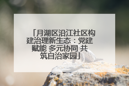 月湖区沿江社区构建治理新生态：党建赋能 多元协同 共筑自治家园