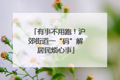 有事不用跑！沪郊街道一“码”解居民烦心事