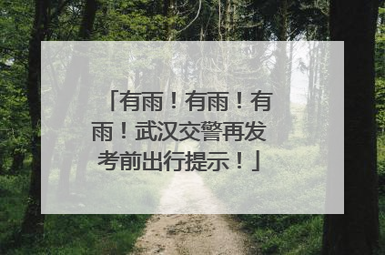 有雨！有雨！有雨！武汉交警再发考前出行提示！