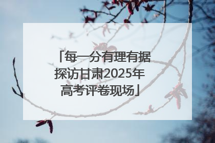 每一分有理有据 探访甘肃2025年高考评卷现场