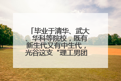毕业于清华、武大、华科等院校，既有新生代又有中生代，光谷这支“理工男团”为何“出道”？